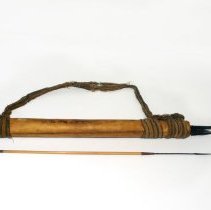 Pigma Arrows and Quiver